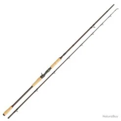 Canne Abu Garcia Beast Pro Casting Rod 40 - 100g 2 2m44 209g