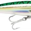 Leurre Rapala X-rap Saltwater 10 Cm GM