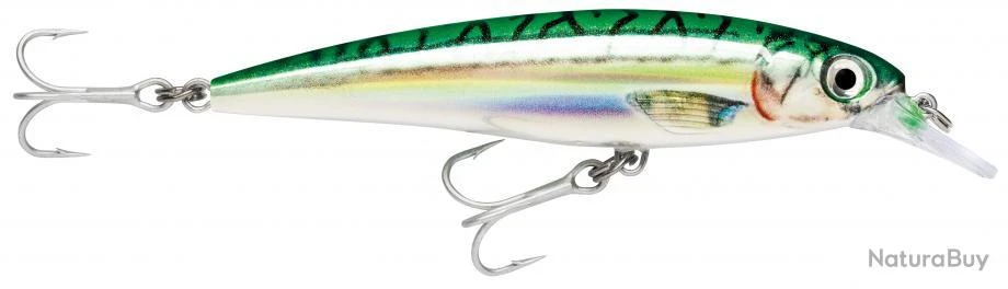 Leurre Rapala X-rap Saltwater 10 Cm GM 1 Leurre Rapala X-rap Saltwater 10 Cm GM