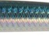 Leurre Duo Tide Minnow 200 Flyer SARDINE