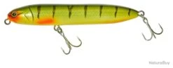 Leurre Illex Chatter Beast 90 - 9Cm PERCH