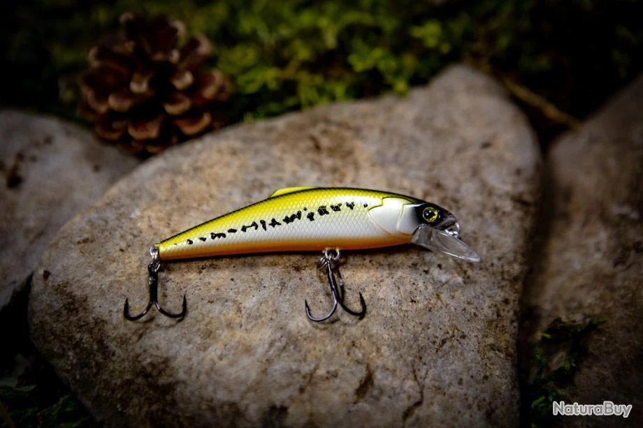 Sultan Of Swim 75 - Vairon 1 Sultan Of Swim 75 - Vairon