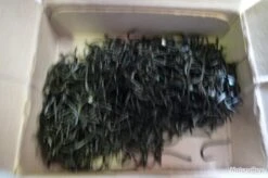 Hameçons 13 Canelle Par 1000 Bleu Renversé -Pêche Soldes Boutique 00003 Hamecons 13 canelle par 1000 bleu renverse