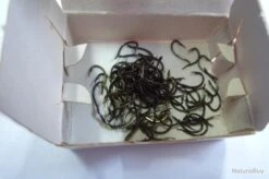 Hameçons 16 MUSTAD 530 Lot 500 Ham -Pêche Soldes Boutique 00003 Hamecons MUSTAD 530 lot 500 ham