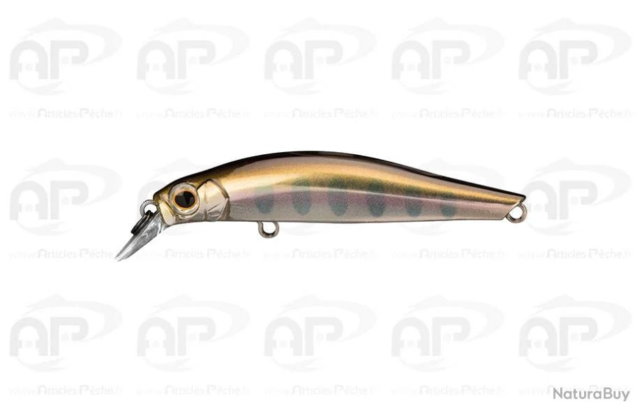 Leurre Jerkbait Jackson Artist FR55 4 G 5,5 Cm RYII 1 Leurre Jerkbait Jackson Artist FR55 4 G 5,5 Cm RYII