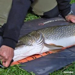 Toise Savage Gear Measure Up Roll 13x130cm -Pêche Soldes Boutique 00004 Toise Savage Gear Measure Up Roll 13x130cm