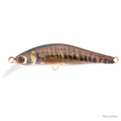 Leurre Sakura Artact Trout - Contrast Trout / 6 G / 5.3 Cm 8 Leurre Sakura Artact Trout - Contrast Trout / 6 G / 5.3 Cm -Pêche Soldes Boutique 00015 Leurre Sakura Artact Trout Contrast Trout 6 g 5.3 cm