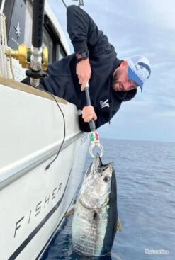 Casquette Thon The Bluefin Tuna 15 Casquette Thon The Bluefin Tuna -Pêche Soldes Boutique 00016 Casquette Thon The Bluefin Tuna